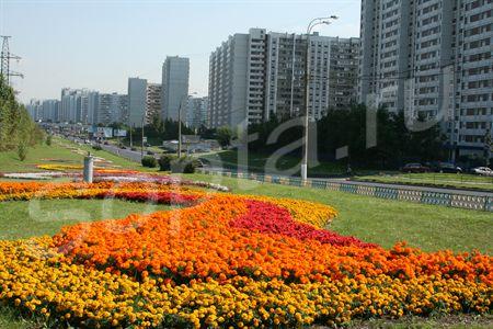     15  .