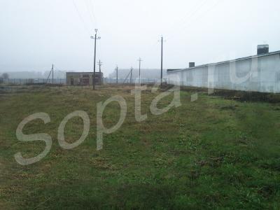 ���������/���������������� ��������� 35 �� �� ����