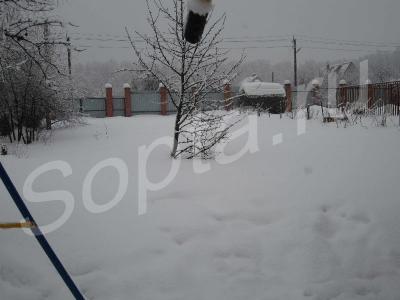 , 65 ., . , , . -