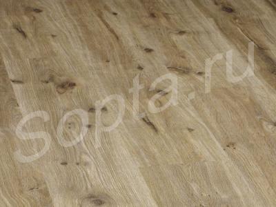  berryaiioc  titanium, y 