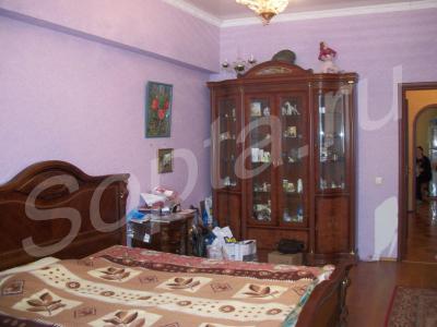  3-   , 79