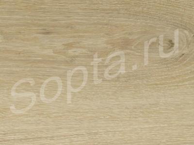  epi, strong, s162  , .