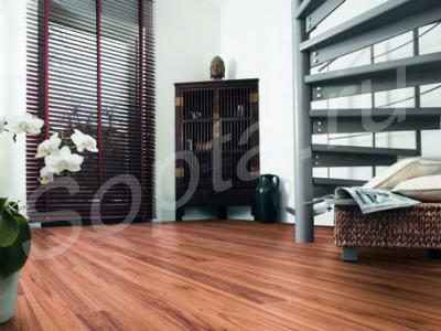  kaindl one  . 37886.