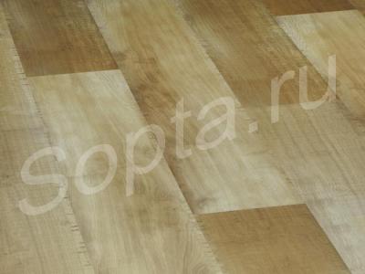  berryaiioc  titanium, y peocx