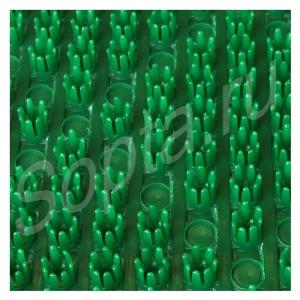   finn turf