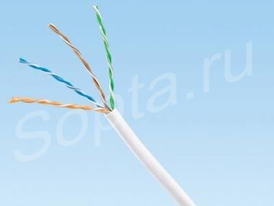  panduit (305 )