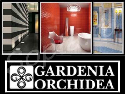   gardenia orchidea