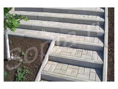       1003015, 100