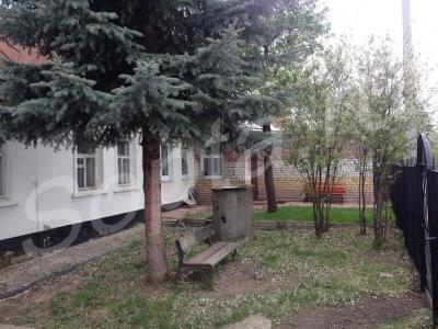    3-  