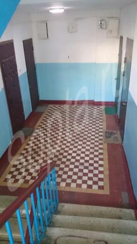  3-   
