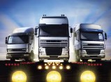 Грузоперевозки фурой и сборным грузом из Хабаровска в Сковородино. / Сковородино