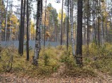 Продам земельный участок на Байкале 7.5 га / Кабанск