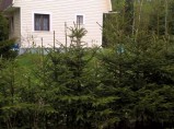 Продам дачу в Выборге / Выборг