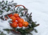 Новый год 2018: "Незабываемые каникулы в Сочи" / Ярославль