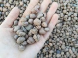 Керамзит оптом тонарами 50-60 м3 / Ставрополь