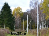 Установка опор ЛЭП в Калининграде / Калининград