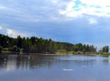 Земельные участки на берегу Горьковского водохранилища. / Городец