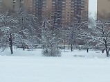 Сдается комната-студия 16кв.м. на 3/17дома по ул.Урицкого / Люберцы