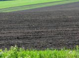 Щебень ,песок ,чернозем ,супесь, блоки фбс в Новосибирске / Новосибирск
