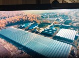 Предлагаю в Аренду Хозяйство тепличное с овощехранилищами / Обнинск