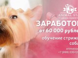Школа груминга / Санкт-Петербург