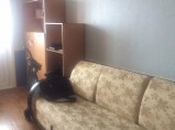 Квартира / Москва