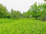 Уютный кирпичный дом с садом в тихом пригороде Краснодара / Краснодар